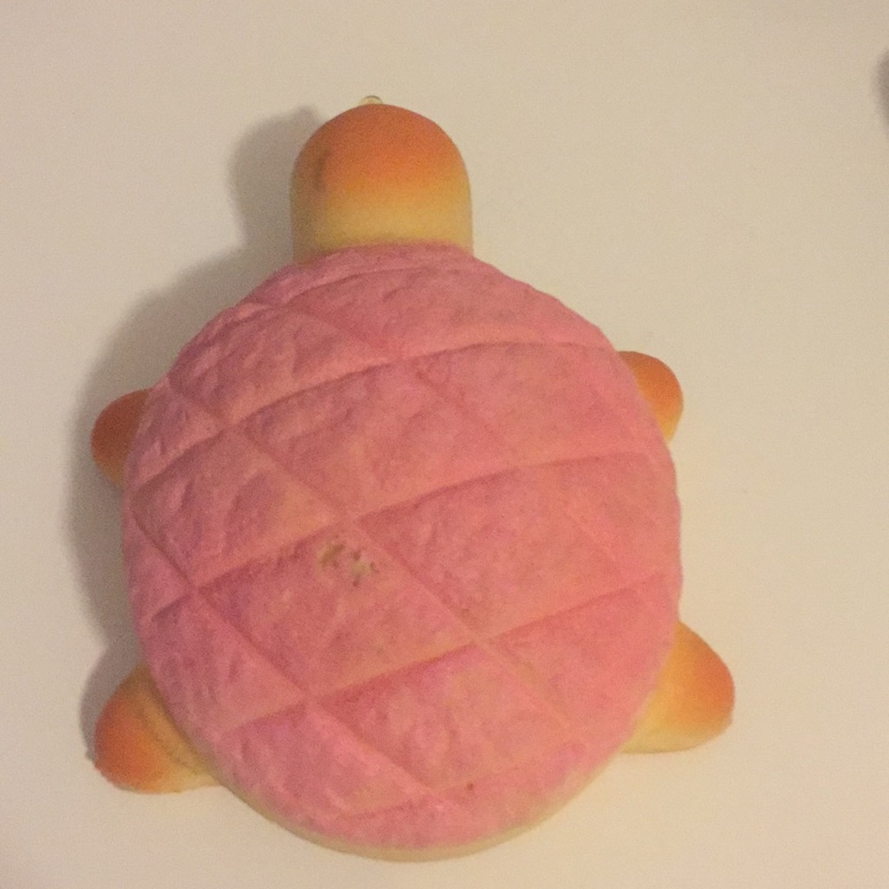 Bread turtle squishy